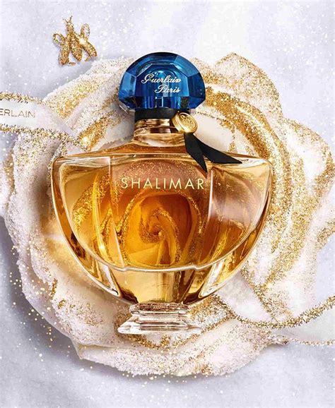 macy's shalimar perfume